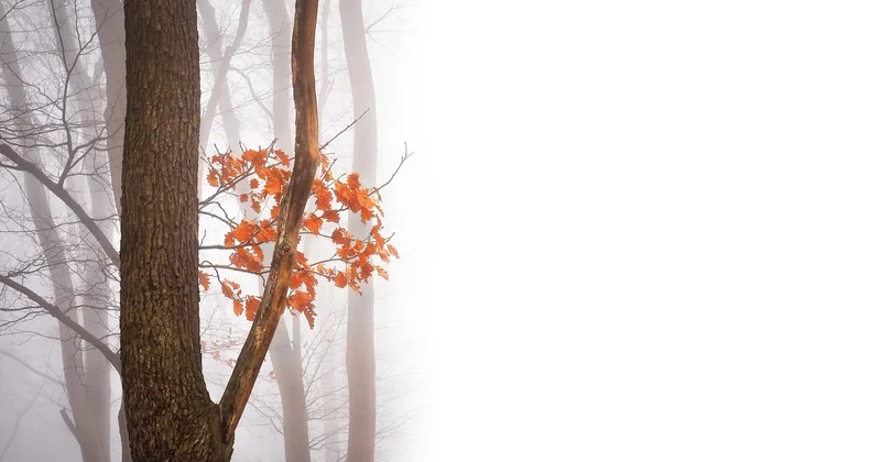 Vienne en automne avec un ado : l'angle qui marche