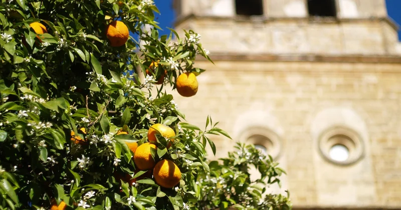 Les pièges du printemps que j'ai mis du temps à comprendre