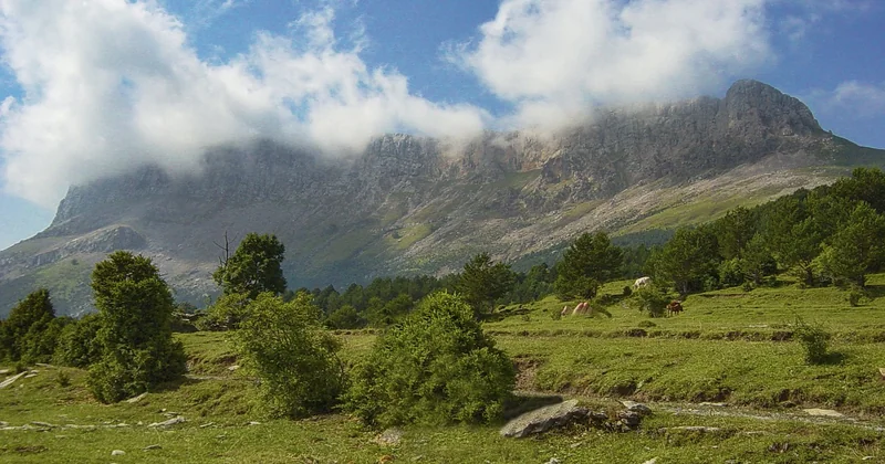 Pyrénées-Atlantiques, Pyrénées-Orientales : ce qu'on ne dit jamais